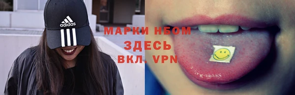 apvp Вяземский